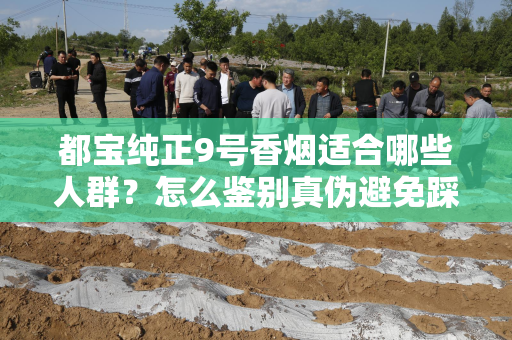 都宝纯正9号香烟适合哪些人群？怎么鉴别真伪避免踩坑？